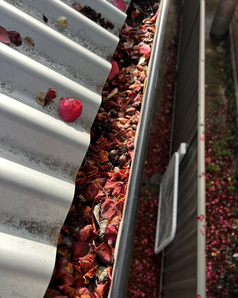 Gutter Packed With Leaf Litter — Brock Plumbing